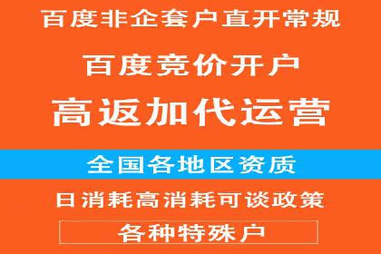 信息流广告的精准定位与效果优化案例分析